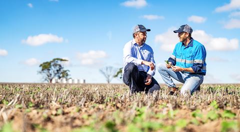 Agricultural investment and operational cycles