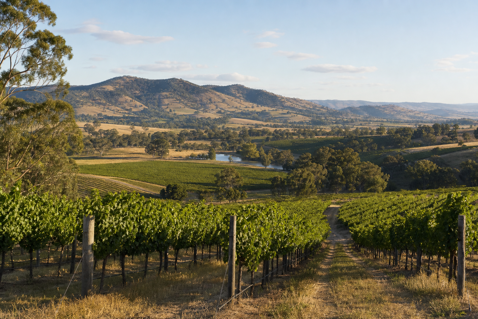 Small Business & Agricultural Equity