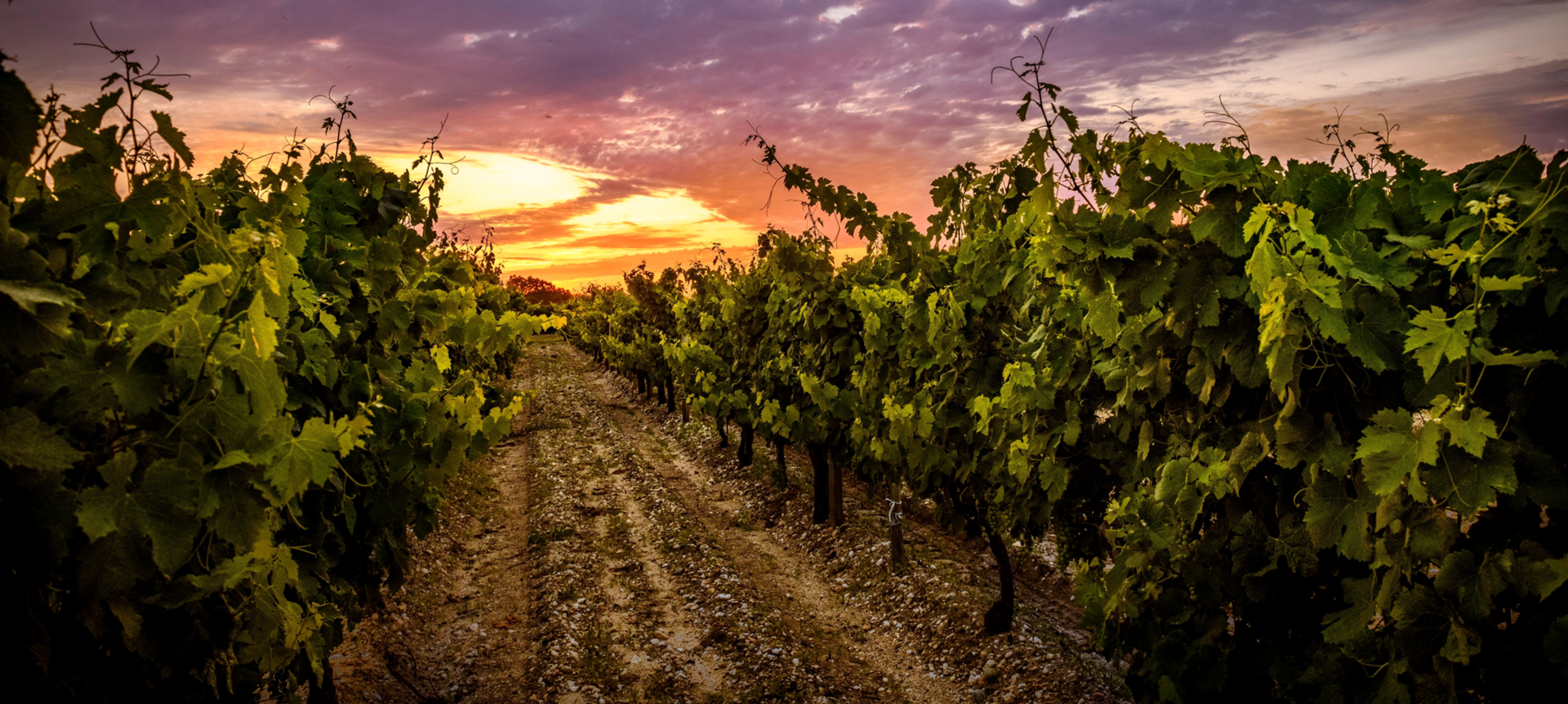 Winery and commercial property